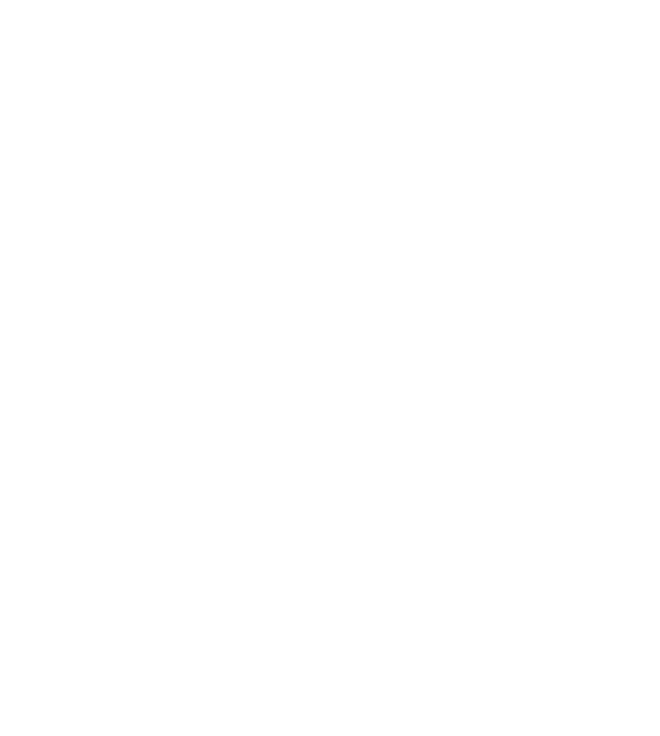 Fim Visuals Logo